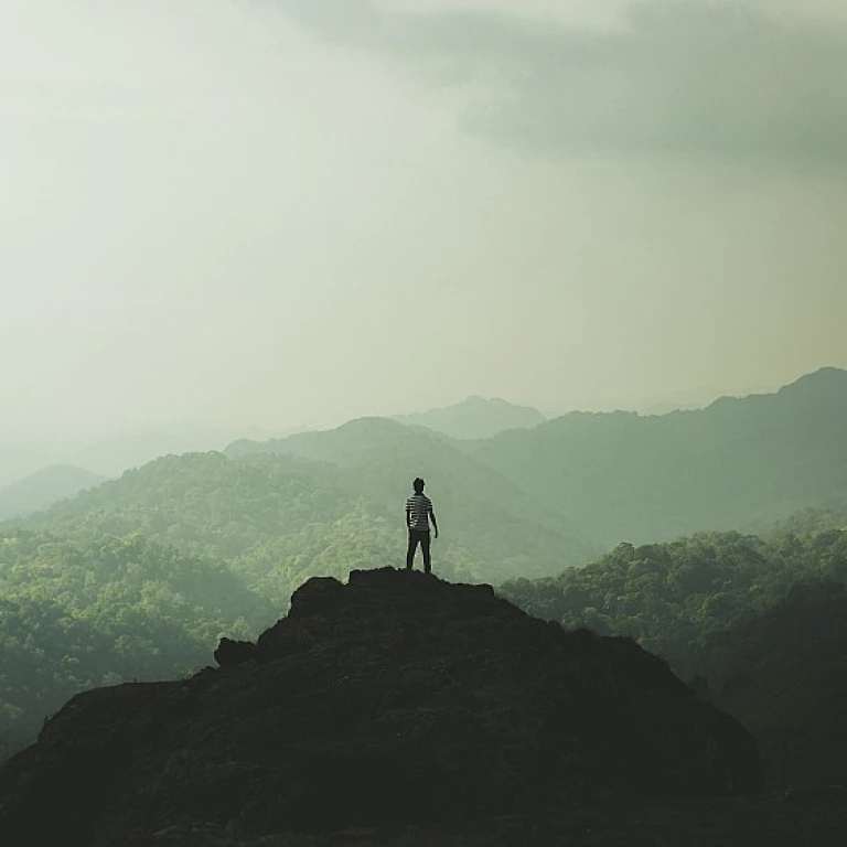 Navigating the Role of an Influencer Intern in a Digital Talent Management Company