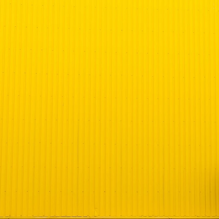 Understanding Non-Compete Agreements in South Carolina